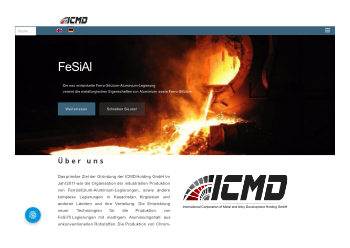 Webseite ICMD Holding